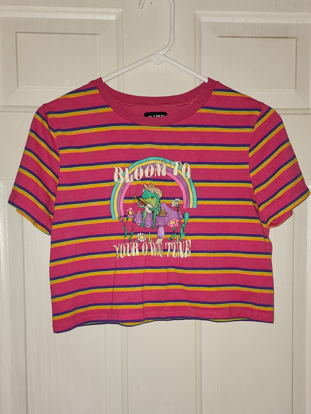 Womens Striped Crop Tee - Pink Rainbow Graphic